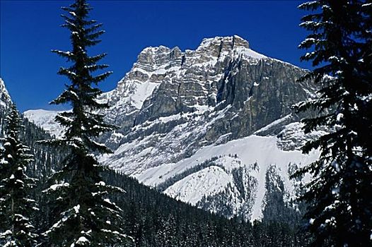 顶峰,幽鹤国家公园,不列颠哥伦比亚省,加拿大
