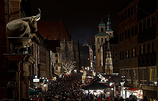 牛,道路,纽伦堡,圣诞市场,夜晚