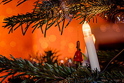 圣诞灯光,装饰,松树