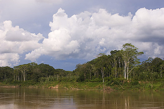 秘鲁,亚马逊盆地,河,雨林