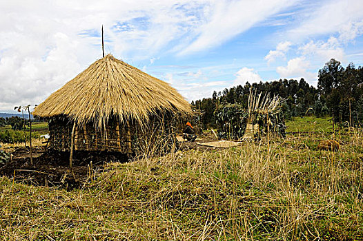 卢旺达,区域,小屋,土地