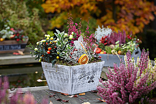 秋天,安放,石南花,装饰,辣椒,卫茅属植物,木质,花园桌