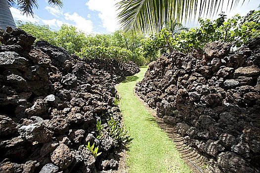 道路,岩石墙,夏威夷大岛,夏威夷,美国