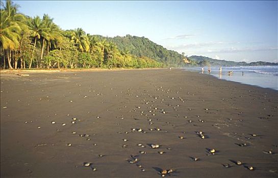 哥斯达黎加,太平洋海岸,海滩