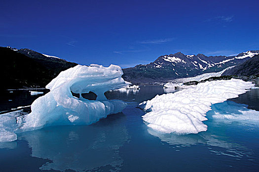 阿拉斯加,威廉王子湾,冰山,靠近,冰河