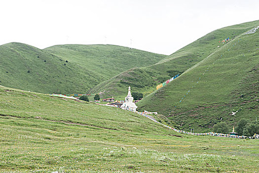 四川甘孜塔公草原景色美