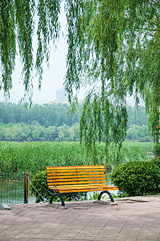 公园中无人的长椅特写