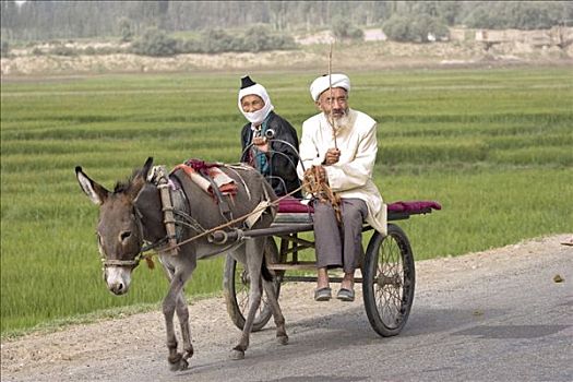夫妇,维吾尔,驴,手推车,丝绸之路,中国,亚洲