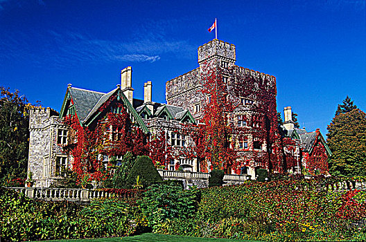 城堡,红色,常春藤,皇家,道路,大学,靠近,维多利亚,温哥华岛,不列颠哥伦比亚省,加拿大