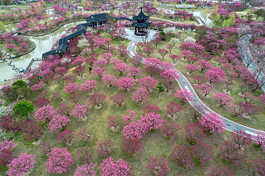 江苏省盐城市大丰区梅花湾景区