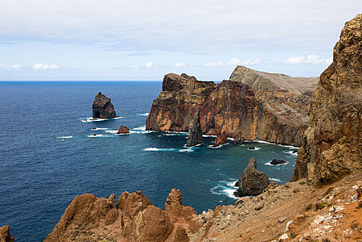 自然保护区,峭壁,火山,半岛,丰沙尔,马德拉岛,葡萄牙,欧洲