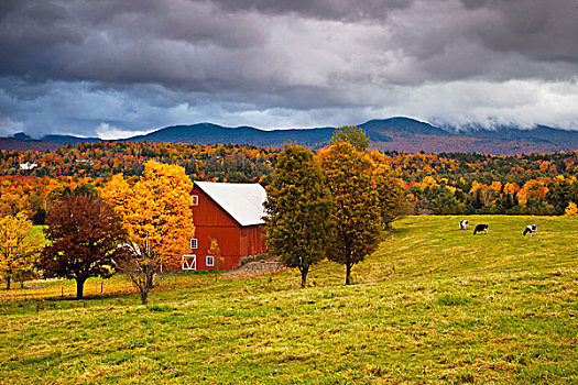 秋天,谷仓,靠近,佛蒙特州,美国