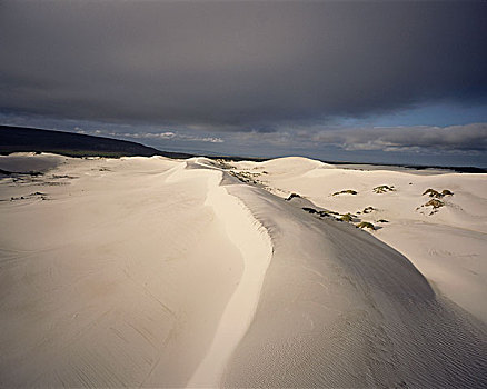 沙丘,兰格班,非洲,海岸线,西海角,南非