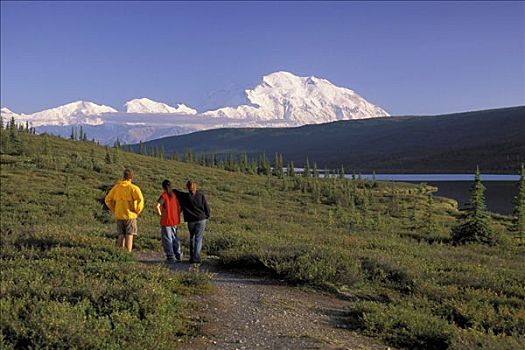 游客,风景,山,麦金利山,德纳里峰国家公园,阿拉斯加