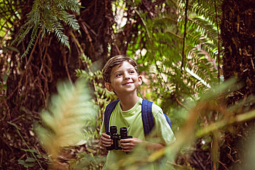 小男孩,探索,自然,公园