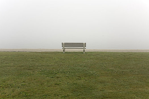 长椅,公园,面对,雾状,港口,纽波特,罗德岛,美国