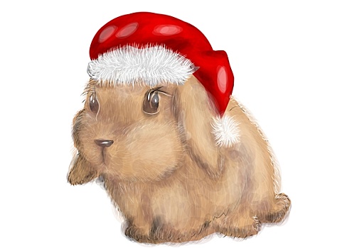 兔子,圣诞节,帽子