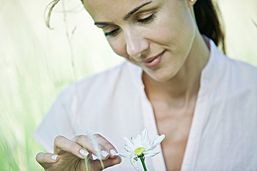 女人,拔,花瓣,雏菊,特写