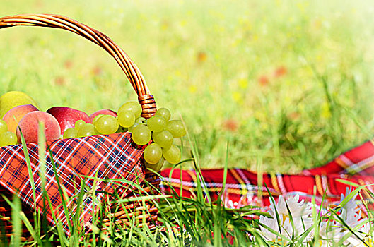 野餐篮,红色,餐巾,水果