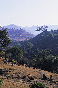 埃塞俄比亚,靠近,巴赫达尔,风景,蓝色,尼罗河,山谷,人,道路,市场