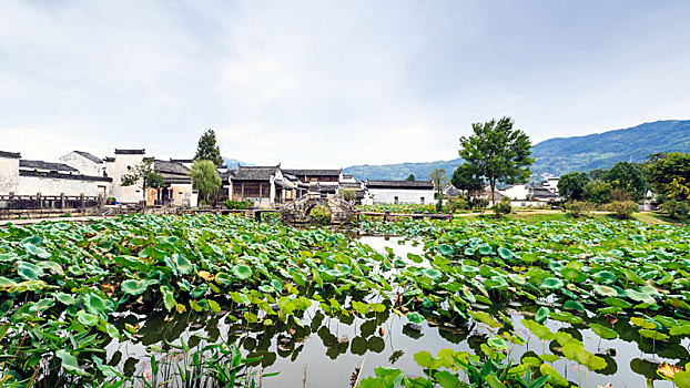 呈坎古村落,中国安徽省黄山市徽州区