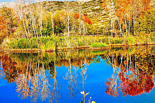 新疆,白沙湖,秋天,色彩
