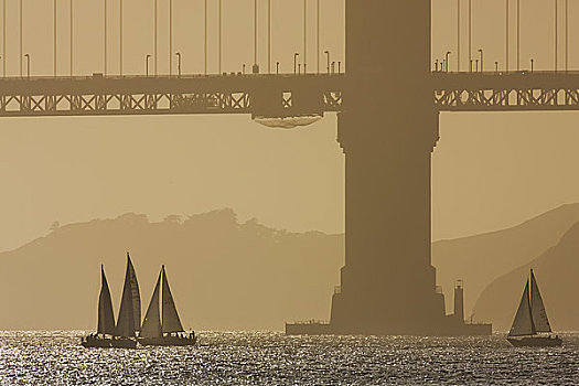 帆船,湾,金门大桥,旧金山湾,旧金山,加利福尼亚,美国