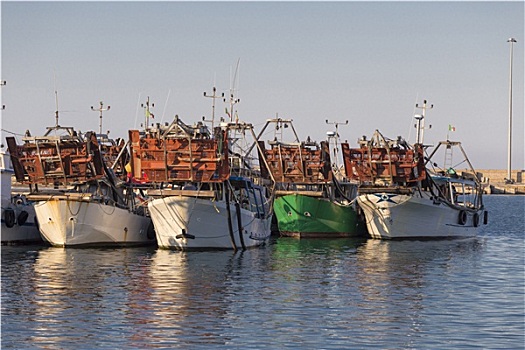渔船,港口,机器,收集,蛤