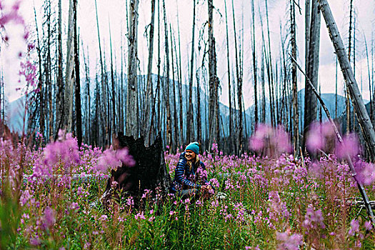 中年,女人,坐,烧,树桩,地点,野花,看别处,微笑,冰碛湖,班芙国家公园,艾伯塔省,加拿大