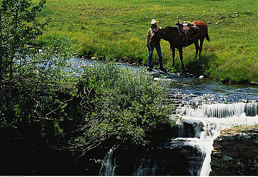 男人,马,靠近,河流,卡纳纳斯基斯县,加拿大