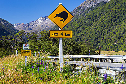 警告标识,几维鸟,溪流,看,山,坎特伯雷地区,新西兰,大洋洲
