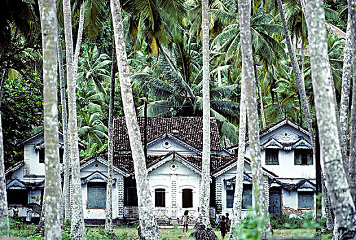 老,建筑,殖民地,时期,椰子,手掌,本托特,斯里兰卡,南亚,亚洲