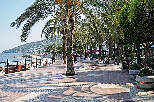 海滩散步,棕榈树,伊比萨岛,巴利阿里群岛,西班牙,欧洲