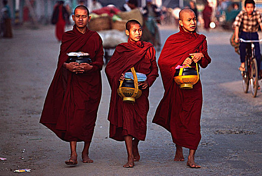 缅甸,和尚,寺院,收集