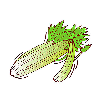 插画,带叶蔬菜,白色背景