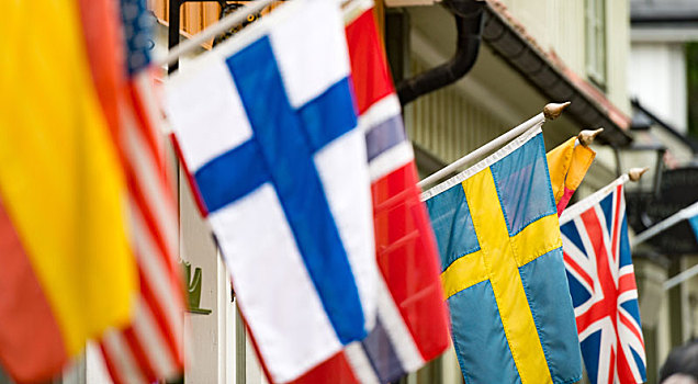 旗帜,墙壁,建筑,瑞典