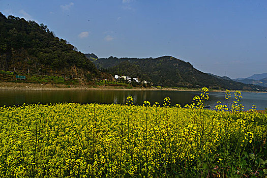 新安江山水画廊