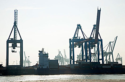 港口,安装,集装箱码头,经济