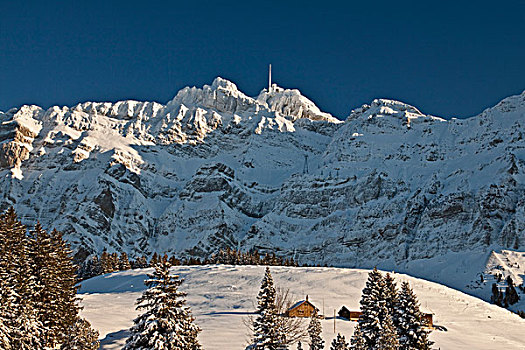 山,冬天,高山,山峦,阿彭策尔,瑞士,欧洲