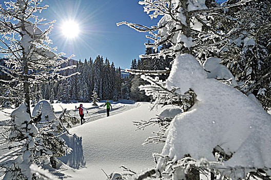 越野滑雪者,巴伐利亚,德国,欧洲
