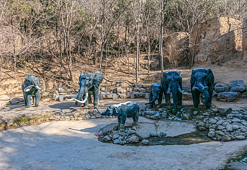 野生动物大象石像雕塑建筑