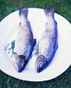 褐色,鲑鱼,百里香,生食