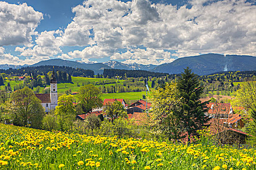 风景,上方,坏,乡村,链子,阿尔卑斯山,上巴伐利亚,巴伐利亚,德国