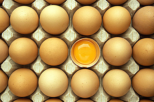 鸡蛋格,一个,鸡蛋,破开