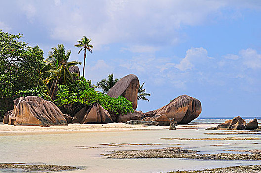 花冈岩,石头,棕榈树,团聚,海滩,拉迪格岛,岛屿,塞舌尔,非洲