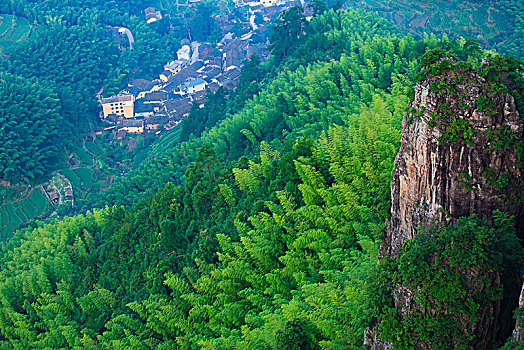 山,俯瞰,峡谷,森林,竹林