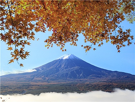 富士山,樱花,湖,效用,使用