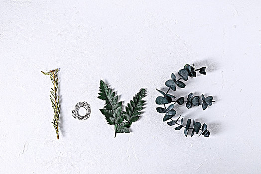 蕨类植物组成的北欧风格love标志