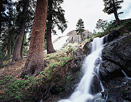 加利福尼亚,内华达山脉,优胜美地国家公园,小,瀑布,树林,大幅,尺寸