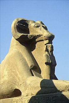 狮身人面像,阿蒙神庙,卡尔纳克神庙,路克索神庙,埃及